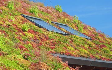 Wilberfoss living roof systems