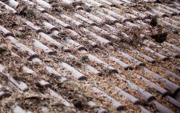 Wilberfoss roof cleaning companies