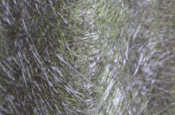 Wilberfoss fibreglass roof work